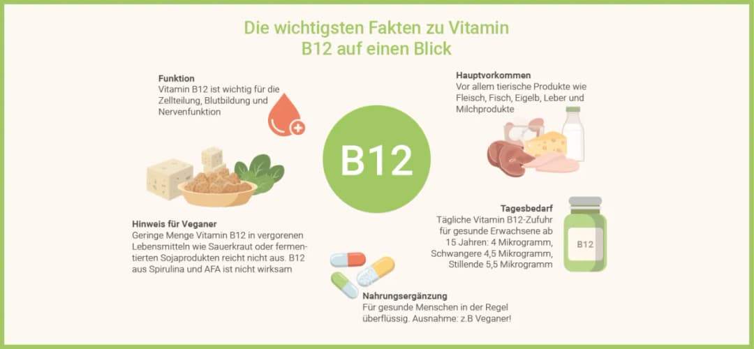 Ratiopharm Vitamin B12: Vorteile, Dosierung und wichtige Hinweise