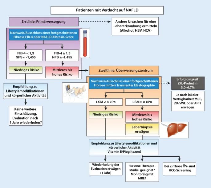 Leberzirrhose Diagnostik: Wichtige Tests und Verfahren zur Früherkennung