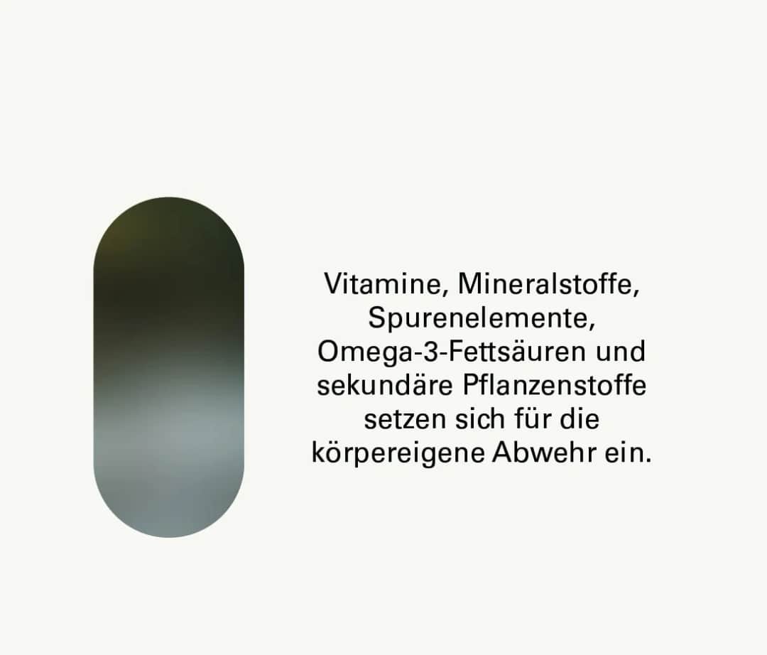 Vitamine fürs Immunsystem: Stärken Sie Ihre Abwehrkräfte effektiv