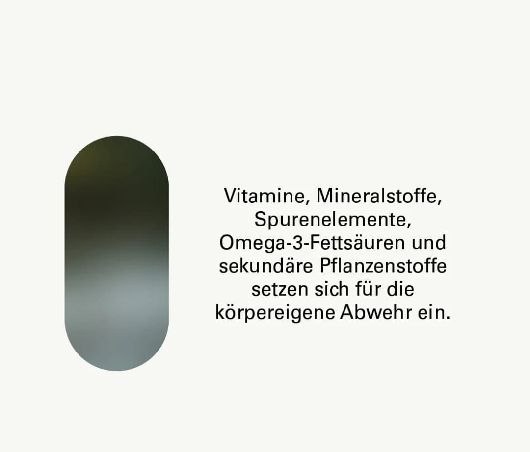 Vitamine fürs Immunsystem: Stärken Sie Ihre Abwehrkräfte effektiv