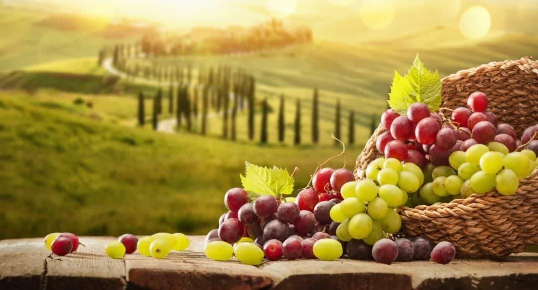 Die überraschenden Vitamine in Weintrauben und ihre Gesundheitsvorteile