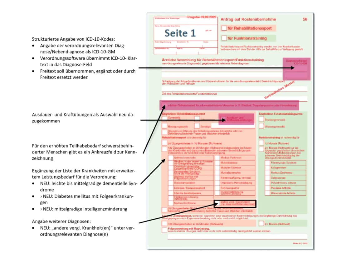 Privatrezept ausstellen: So vermeiden Sie Fehler und Missverständnisse