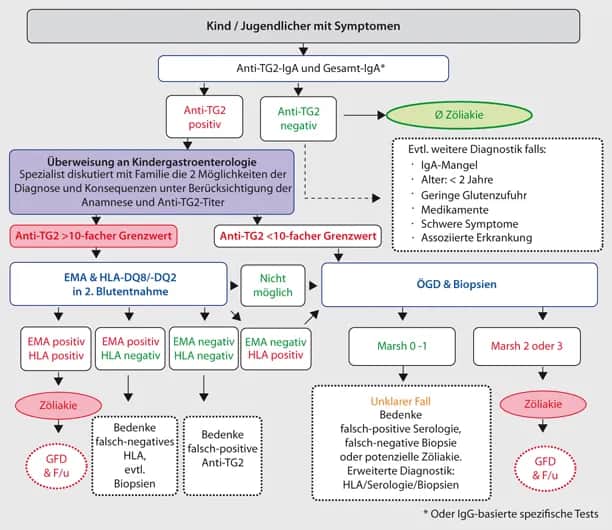 Zöliakie Diagnostik: Wichtige Schritte zur sicheren Diagnose verstehen