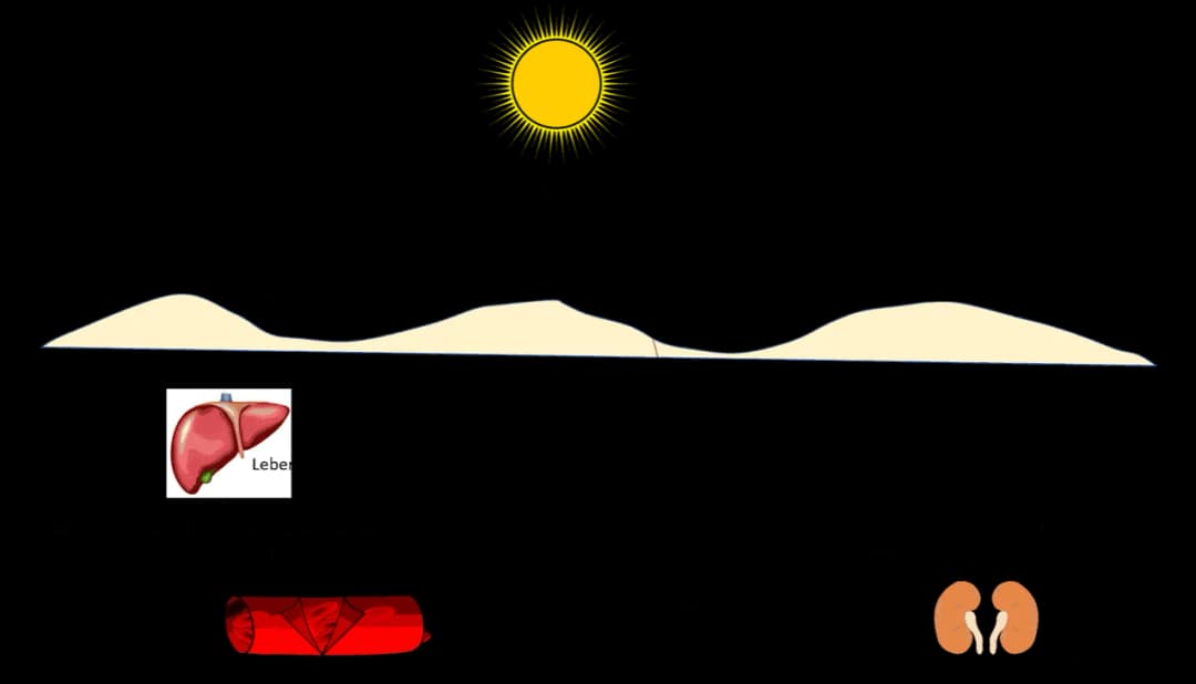 Vitamin D Mangel: Ursachen, Symptome und effektive Lösungen für Ihre Gesundheit