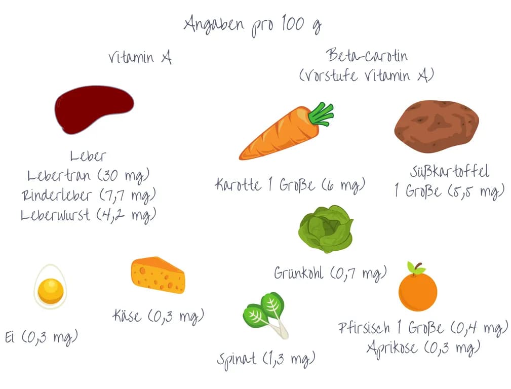 Vitamin A Lebensmittel: Die besten Quellen für Gesundheit und Wohlbefinden