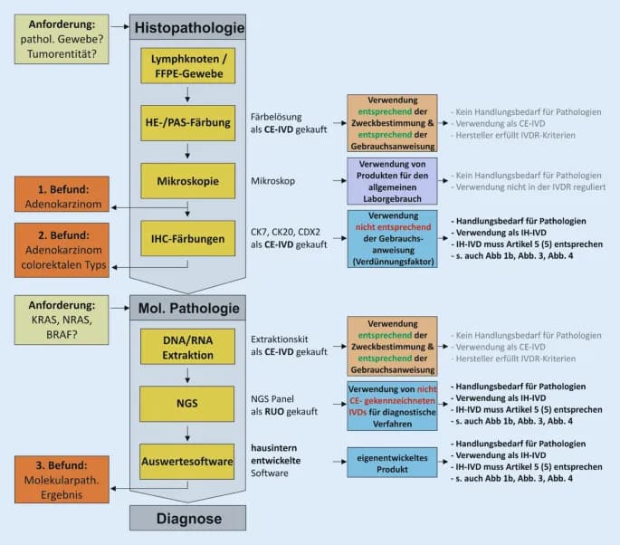 In vitro Diagnostik: Wichtige Informationen zu Tests und Vorschriften