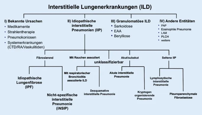 Lungenerkrankungen diagnostik: Wichtige Verfahren zur Früherkennung
