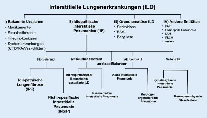 Lungenerkrankungen diagnostik: Wichtige Verfahren zur Früherkennung