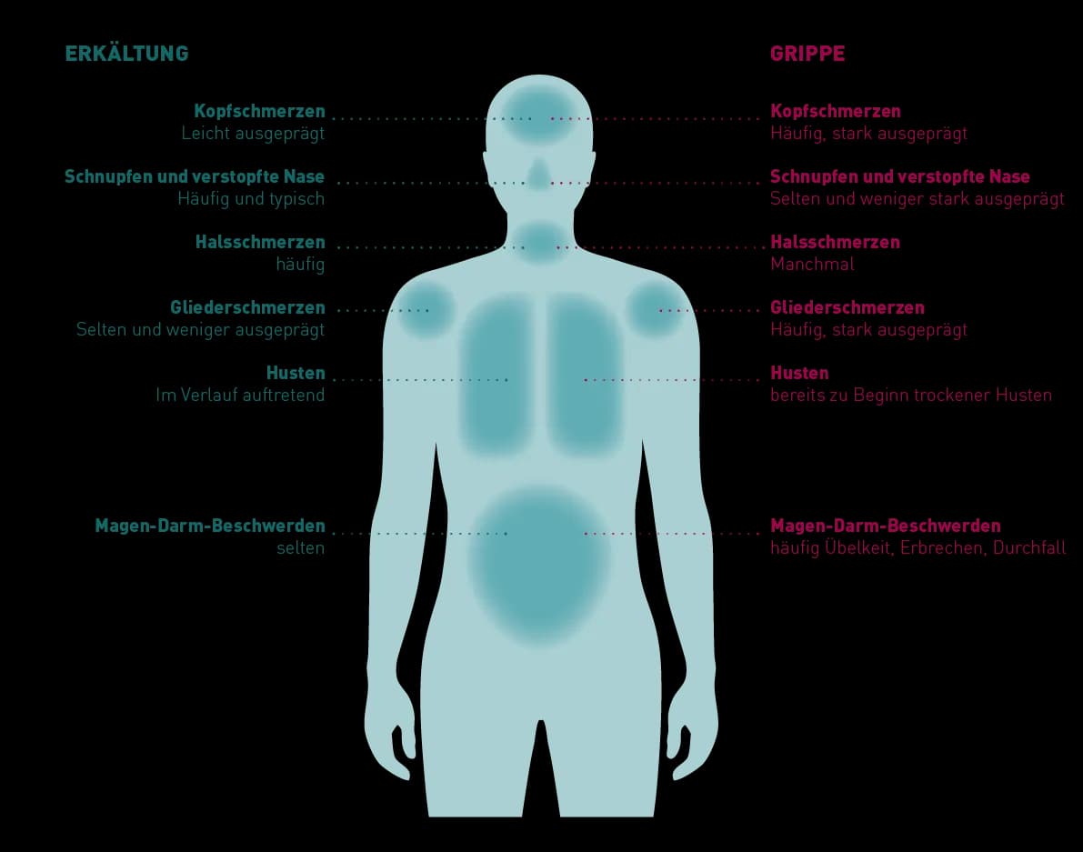 Symptome aktuelle Grippe: So erkennen Sie die gefährlichen Anzeichen